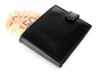 Euro in wallet isolated on white