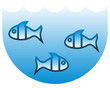 Three fish