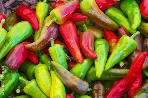 Photo: red green yellow purple hot Peppers red green yellow purple hot Peppers