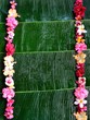 Colorful hibiscus on banana leaf background