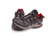 Zapatillas De Deporte Aisladas