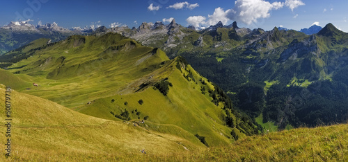 Photo: Meadow in the swiss Alps and Lake Vierwaldstattersee Meadow in the swiss Alps and Lake Vierwaldstattersee