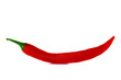 Red hot chili pepper on white background