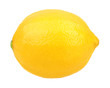 Single fresh yellow lemon