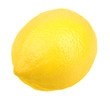 One fresh yellow lemon