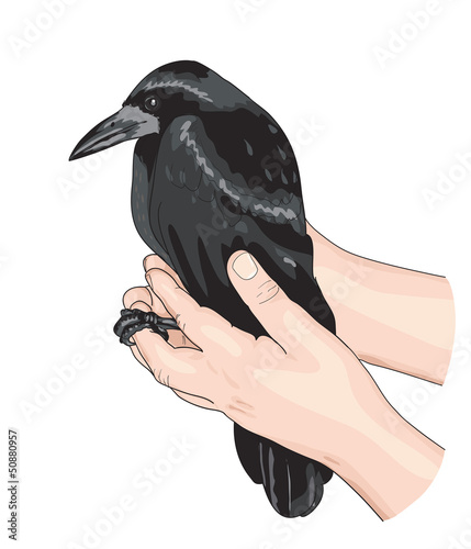 Vector: The Crow and the hands. The Crow and the hands.
