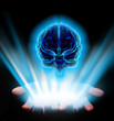 Hands holding human brain