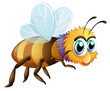 A big fat bee