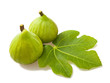 Figs couple