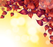 Vektor: A stationery with heart-shaped leaves A stationery with heart-shaped leaves