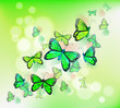 A Group Of Green Butterflies