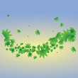 spring leaves