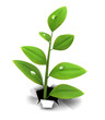 grow through