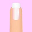 Vector illustration of french manicure