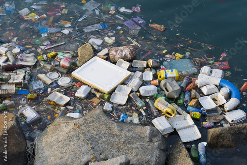 Photo: Pollution in water Pollution in water