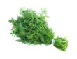 Photo: Fennel Fennel