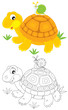 Tortoise and snail