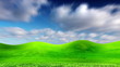 field of green ears and cloudy sky