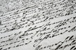 vintage handwritten letter
