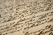 beautiful vintage handwriting