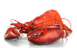 Red Lobster Isolated On White