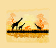 Illustration: African savannah African savannah