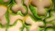 50901115