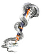 snake and fountain pen