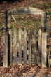 Foto: Gartentor Gartentor