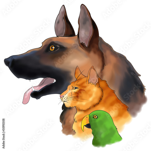 Vector: Three pets looking forward in a column (vector) Three pets looking forward in a column (vector)