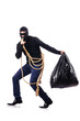 Burglar wearing balaclava isolated on white