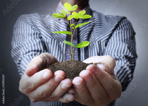 Photo: plant in hand plant in hand