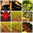 Foto: Collage vins rouges Collage vins rouges