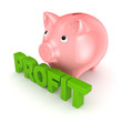 Profit concept.