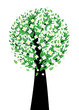 White blossom tree