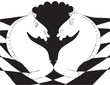 Chess horses and poultry