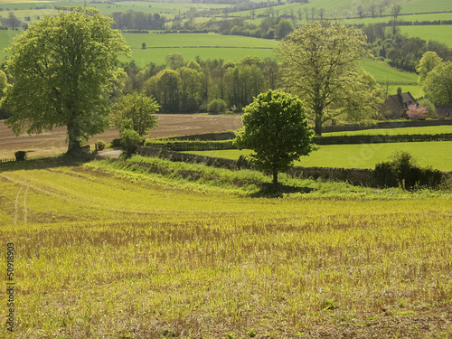 Photo: field field
