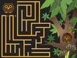maze