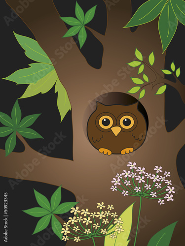 Illustration: owl owl