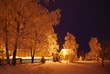 Foto: Winternacht Winternacht