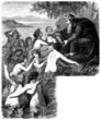Mermaids - Bathing Beauties (Heimdal)