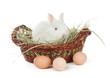 Photo: white rabbit in a basket and eggs white rabbit in a basket and eggs