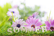 sommer