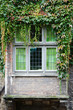 mit Wein umranktes altes Fenster