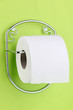 Roll of toilet paper on  holder fixed to wall