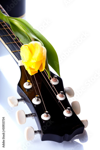 Photo: Guitar and yellow tulip. Guitar and yellow tulip.