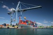 Great container ship working with special crane