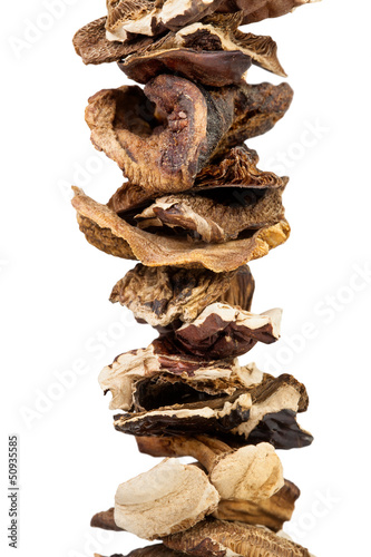 Photo: mushroom dried mushroom dried