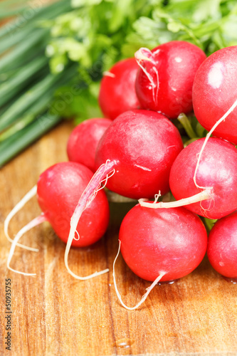 Photo: Small garden radish on wooden table Small garden radish on wooden table