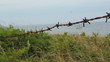 Barbed wire by the beach. Prince Edward Island.